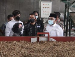 Sekda Provinsi Jambi Dorong Pinang Sebagai Komoditi Ekspor utama