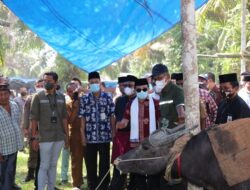 Al Haris: Tradisi Bantai Adat Jadi Event Tahunan Jambi