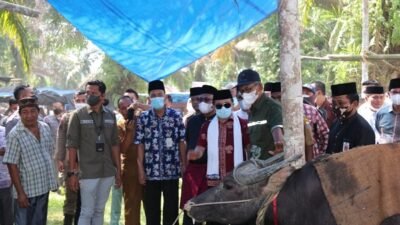 Al Haris: Tradisi Bantai Adat Jadi Event Tahunan Jambi