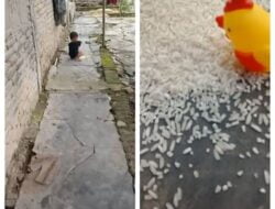 Anak Mainan Beras, Ibunya Hanya Tertawa