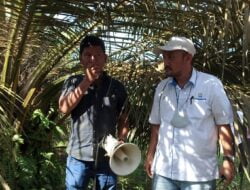 Tak Punya Hutang, PTBK Capai Laba 39 M
