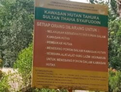 Alami Deforestasi, TAHURA STS Tak Lagi Asri.