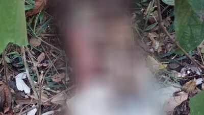 Warga Desa Hajran Batanghari Tewas Dibunuh di Kebun Karet