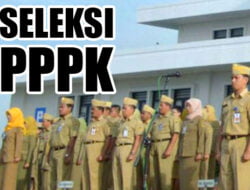 Ini Syarat dan Kategori Ikut Seleksi PPPK 2022