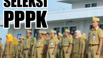 ilustrasi pppk