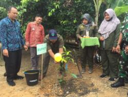 Pemkab Katakan Tiga Desa Di Batang Hari Akan dijadikan Kampung Manggis