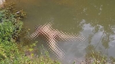 Jenazah Perempuan ditemukan Warga Tembesi Mengapung didalam Kolam