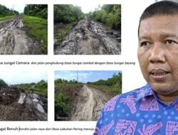 Panik Serta Ketakutan, Buzzer Romi Sebar Hoax di Medsos