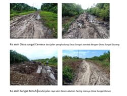 Warga Tanjabtim Nilai Romi Belum Layak Maju di Pilgub Jambi