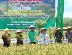 MFA Kembali Hadiri Panen Raya di Kelurahan Kampung Baru