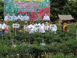Dumisake Gubernur Al Haris Gelontorkan Rp 10,8 Miliar untuk Penguatan Pangan di Jambi