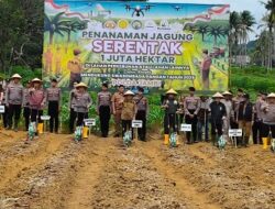 Gubernur Al Haris Bersama Kapolda Ikut Tanam Jagung Serentak 1 Juta Hektar