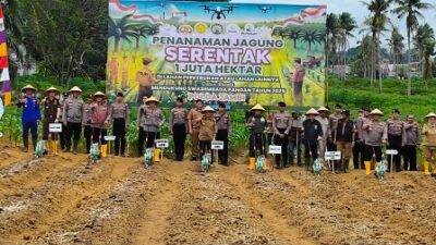 Gubernur Al Haris Bersama Kapolda Ikut Tanam Jagung Serentak 1 Juta Hektar