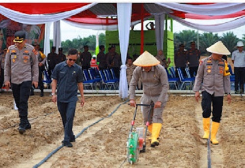 Wakil DPRD Wiranto Hadiri Penanaman Jagung