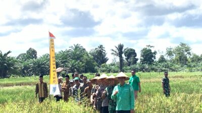 MFA Tanam Padi Serentak Se Provinsi Jambi di Desa Senaning