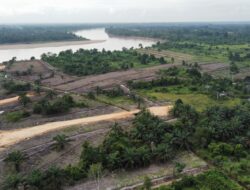 PT SAS Diduga “Kebal Hukum”, Tak Ada Izin Masih Beraktivitas di Stockpile Batubaranya