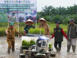 Danrem 042/Gapu Hadiri Gerakan Tanam Padi Serentak di Batanghari : Wujud Nyata Dukung Ketahanan Pangan Nasional