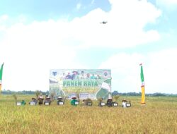 Kelompok Tani Tan Talanai Desa Terusan Panen Raya Bersama Bupati Batang Hari