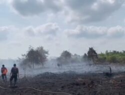 Lahan Gambut 300 Hektar Terbakar, DPRD Muaro Jambi Desak Pengiriman Helikopter Water Bombing