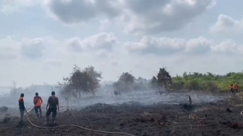 Lahan Gambut300 Hektar Terbakar, DPRD Muaro Jambi Desak Pengiriman Helikopter Water Bombing