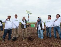 PT SAS dan Group Rehabilitasi Hutan Gambut Jambi Seluas 2 Ribu Hektar, Direktur Kemenhut: Ini Jadi Percontohan Nasional