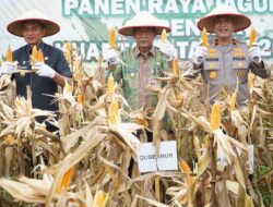 Hadiri Panen Jagung, Wagub Sani Dukung Program Perkuat Kedaulatan Pangan Daerah dan Nasional