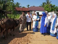 Hj. Hesti Haris bersama BKMT dan Posyandu Serahkan Hewan Kurban di Desa Tangkit dan Kelurahan Kasang
